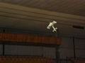 pracovni/Hala/hala 2013/hala_201311small.jpg